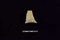 陶罐藏品圖，第2張